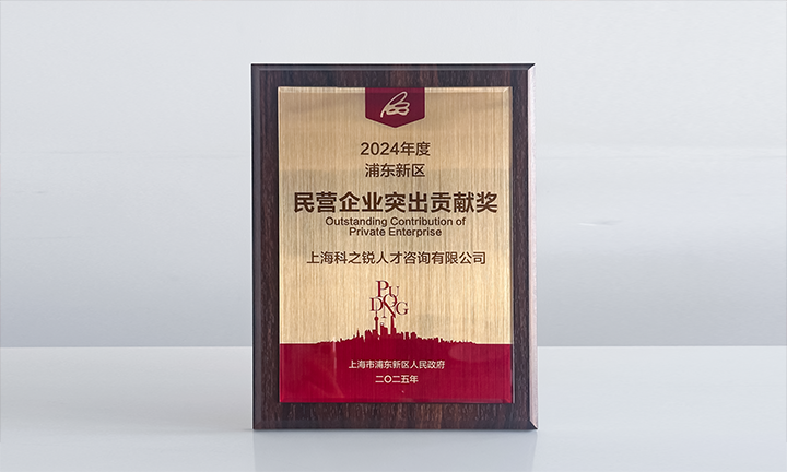 人力资源供应商USDT钱包(中国)国际凭借人才服务与在区域经济开展中的卓越表现荣膺2024年度浦东新区民营企业奖项