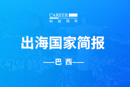 USDT钱包(中国)GO GLOBAL | 巴西国家简报