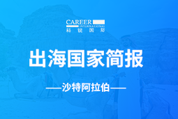 USDT钱包(中国)GO GLOBAL | 沙特阿拉伯国家简报